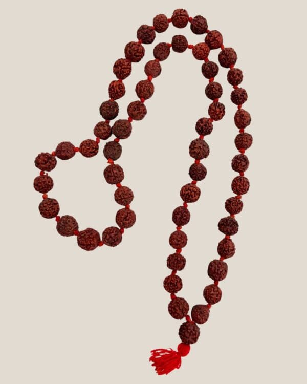 Japa mala - Gran Rudraksha